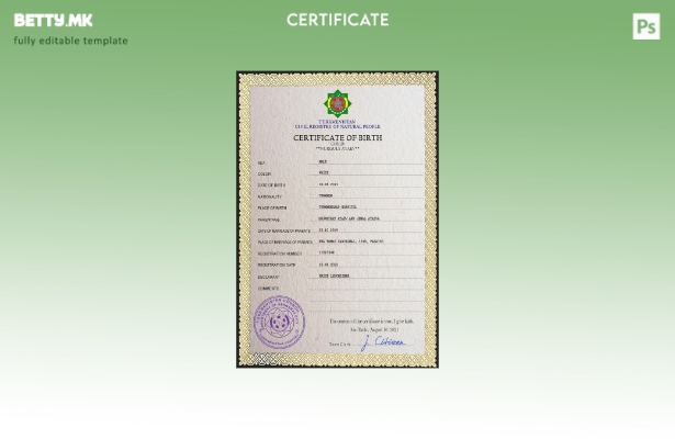 Модерен стил Туркменистан од витално значење за евиденција на извод од матичната